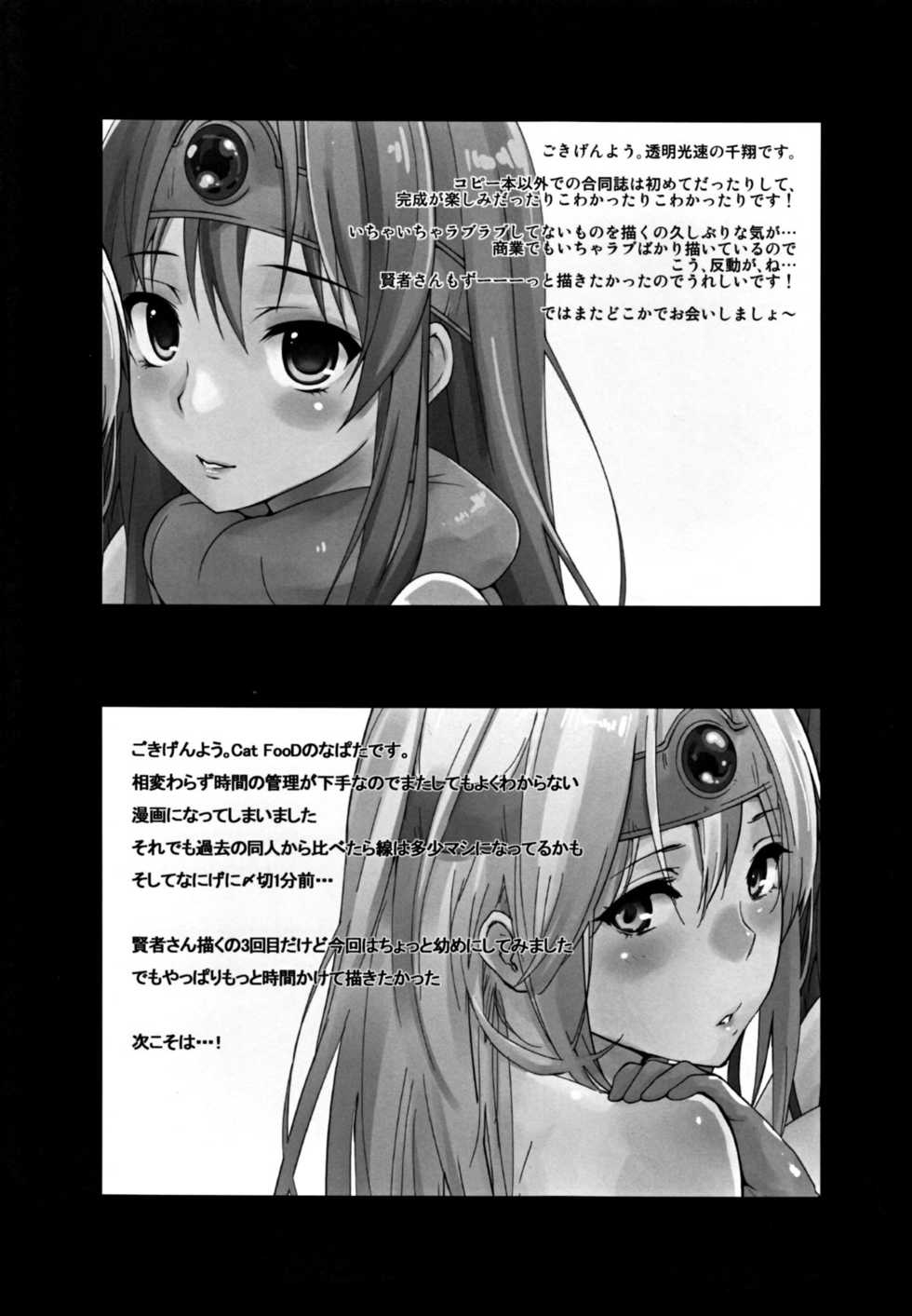 (C82) [Cat Food & Toumei Kousaku (NaPaTa & Chika)] Kenja-san Level 14 | Miss Sage Level 14 (Dragon Quest III) [English] [4dawgz + FUKE] - Page 23