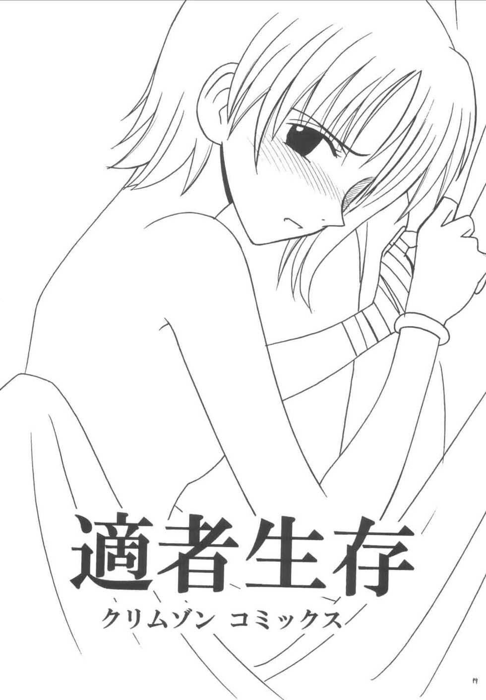 [Crimson Comics (Carmine)] Koukai Soushuuhen (One Piece) - Page 18