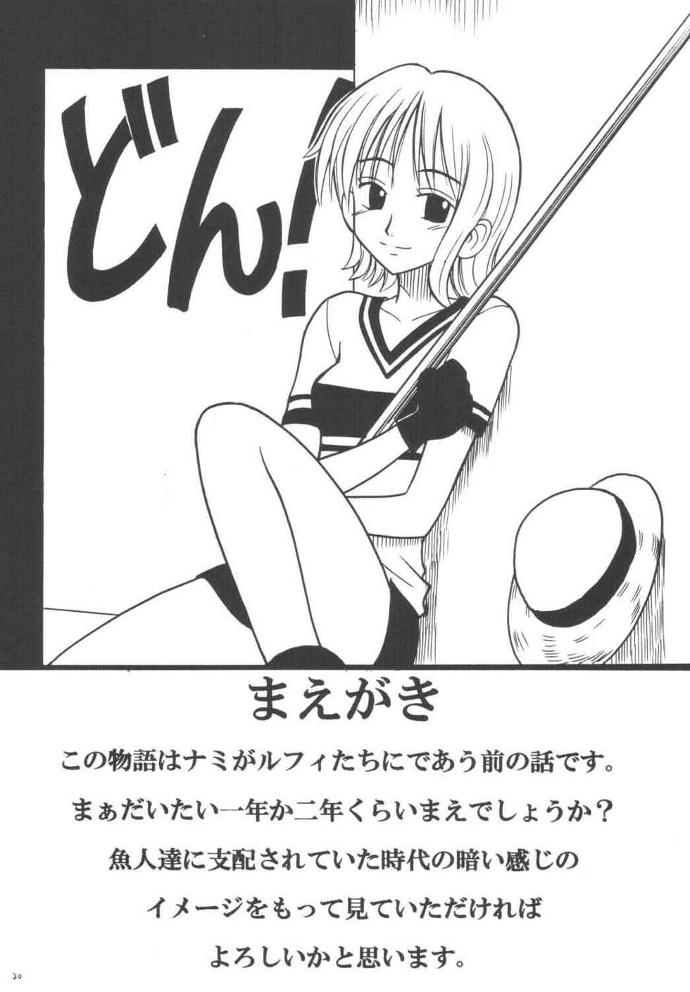 [Crimson Comics (Carmine)] Koukai Soushuuhen (One Piece) - Page 19