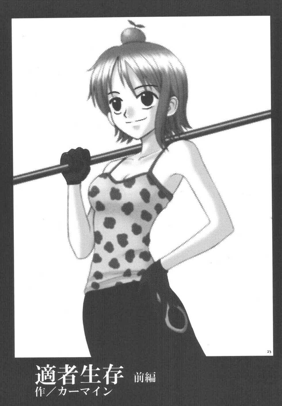 [Crimson Comics (Carmine)] Koukai Soushuuhen (One Piece) - Page 22