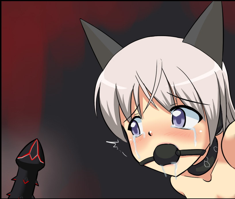 [Red Axis] install core on witches 4 (Strike Witches) - Page 24