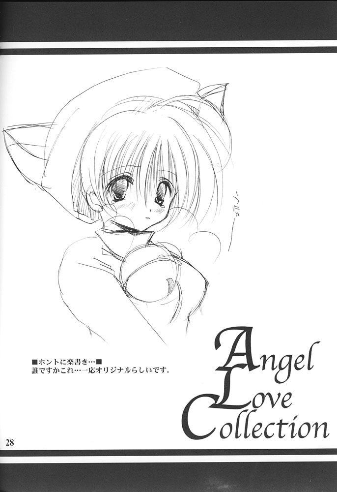 (C59) [A.L.C (Kannazuki Nem)] Angel Love Collection (Various) - Page 28