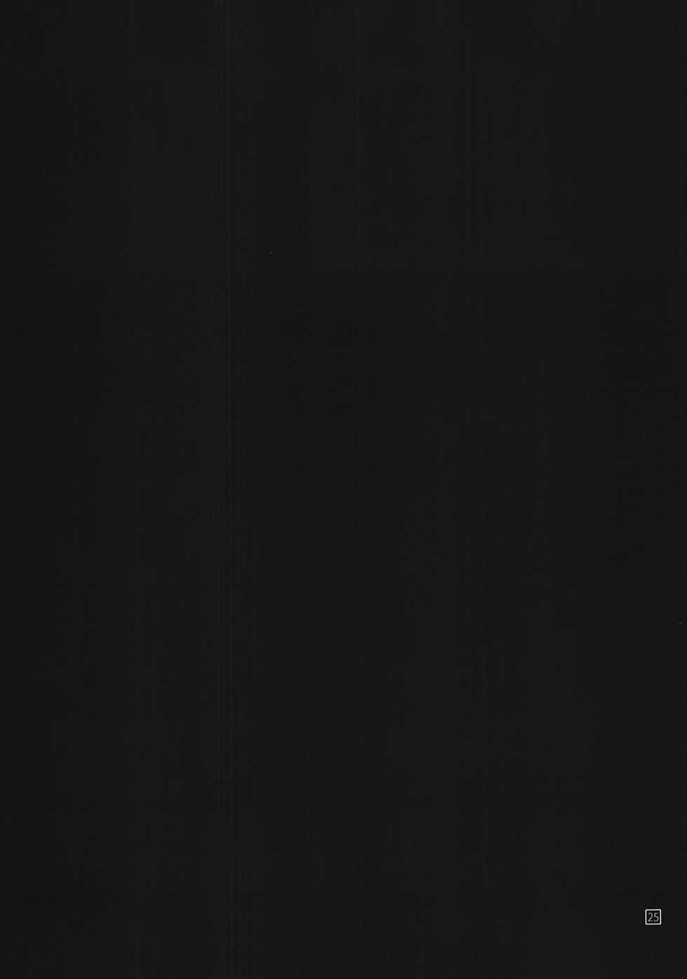 (C82) [Girigiri Nijiiro (Kamino Ryu-ya)] ShitsuTora★All Stars (Hayate no Gotoku!) [2nd Edition 2012-09-14] - Page 24