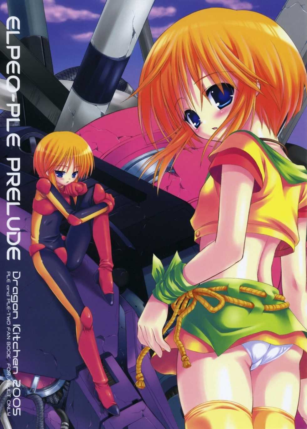 (C68) [Dragon Kitchen (Sasorigatame)] Elpeo-Ple Prelude (Gundam ZZ) - Page 2