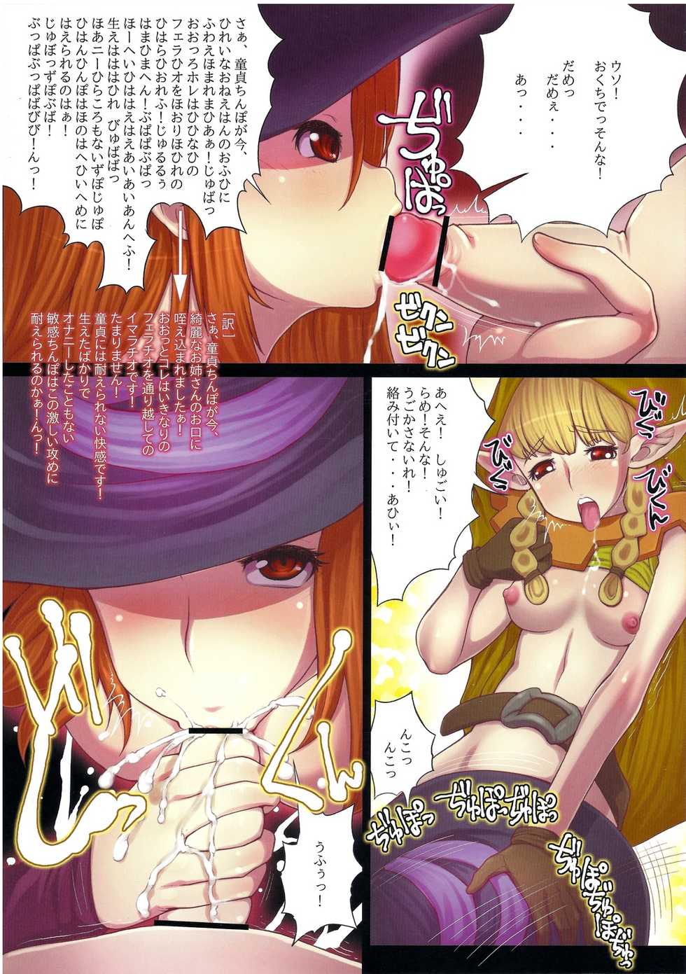 (C81) [Tsujimo ga Machi ni Yattekita!!! (Tsujizen)] Erotica Crown - Bitch na Majo (Dragon's Crown) - Page 6