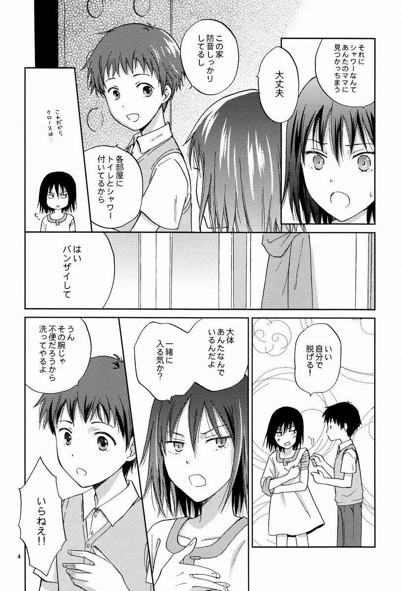 (C82) [Mist Field (Katase Kirino)] Hito no Ondo Kikai no Ondo (NO.6) - Page 3
