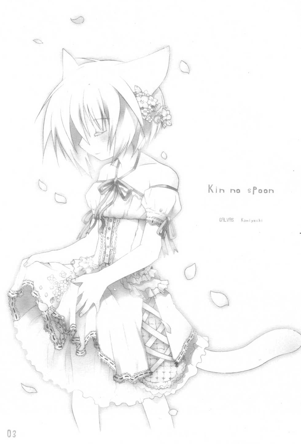(C71) [Galvas (Kamiyoshi)] Kin no Spoon - Page 3