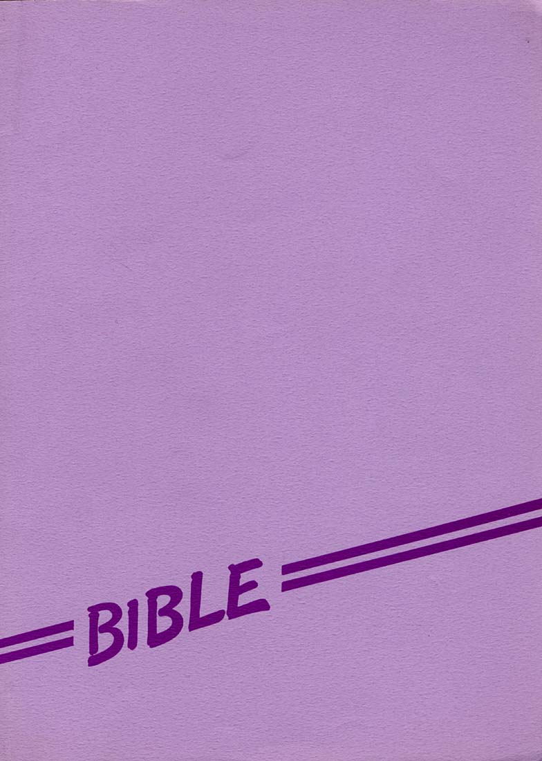 [Bible (Ogata Satomi)] Kyouakuteki Shidou Daiichijou Daikkou (Super Bikkuriman) - Page 19