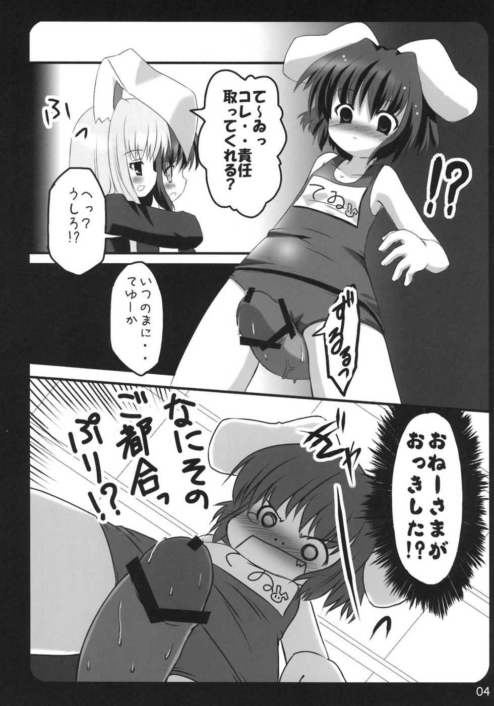 (Mimiket 15) [PoM (Monchy)] Usa Uso Bangaihen (Touhou Project) - Page 4