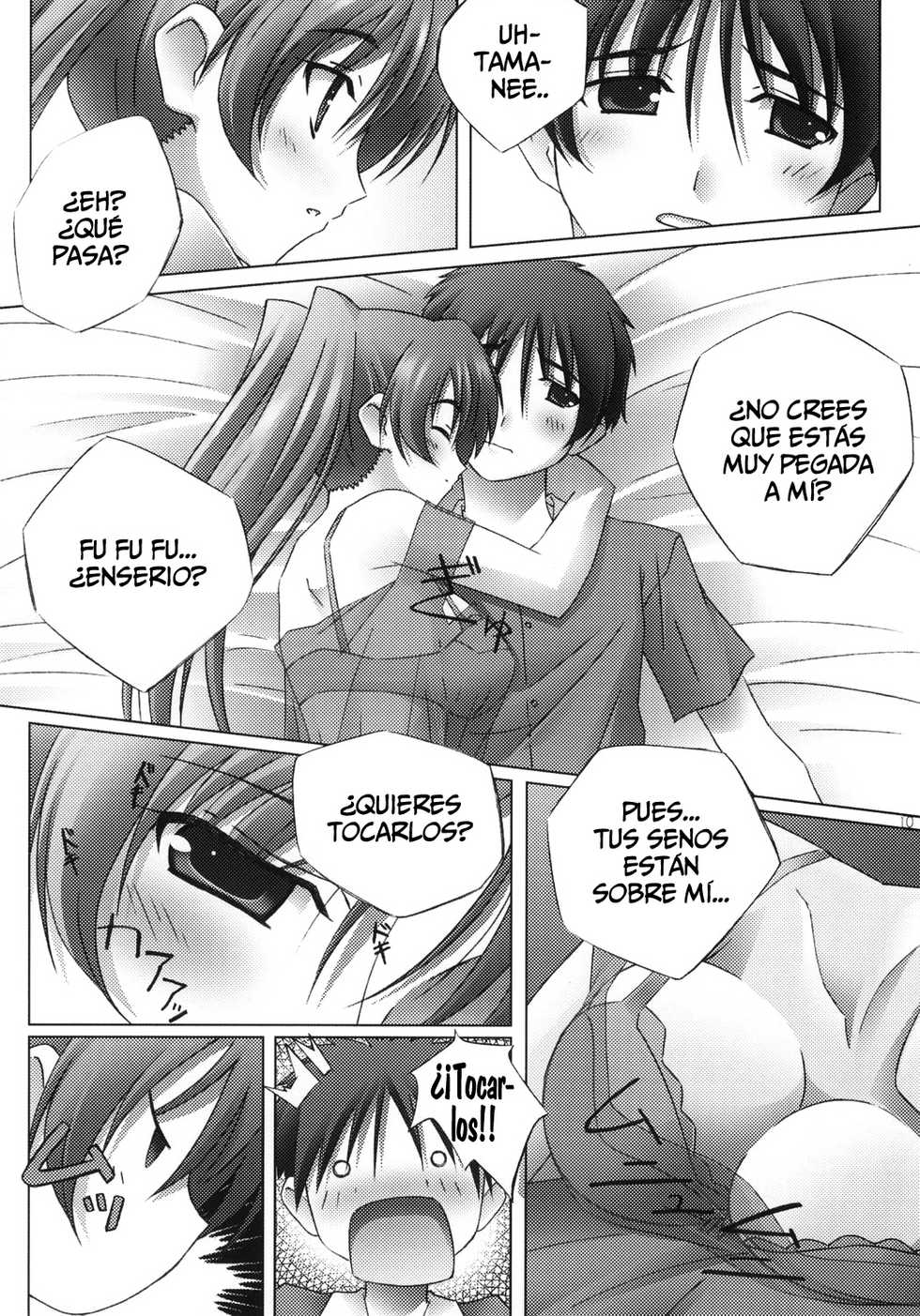 (C68) [Mahirutei (Izumi Mahiru)] Pinky Ring (ToHeart2) [Spanish] [Nightow] - Page 10