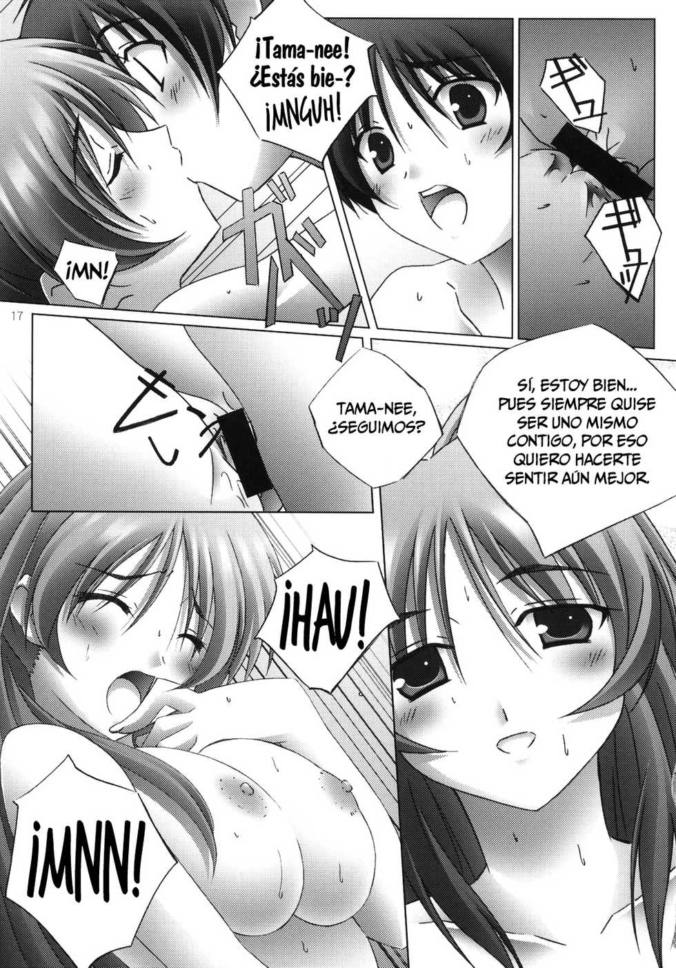 (C68) [Mahirutei (Izumi Mahiru)] Pinky Ring (ToHeart2) [Spanish] [Nightow] - Page 18