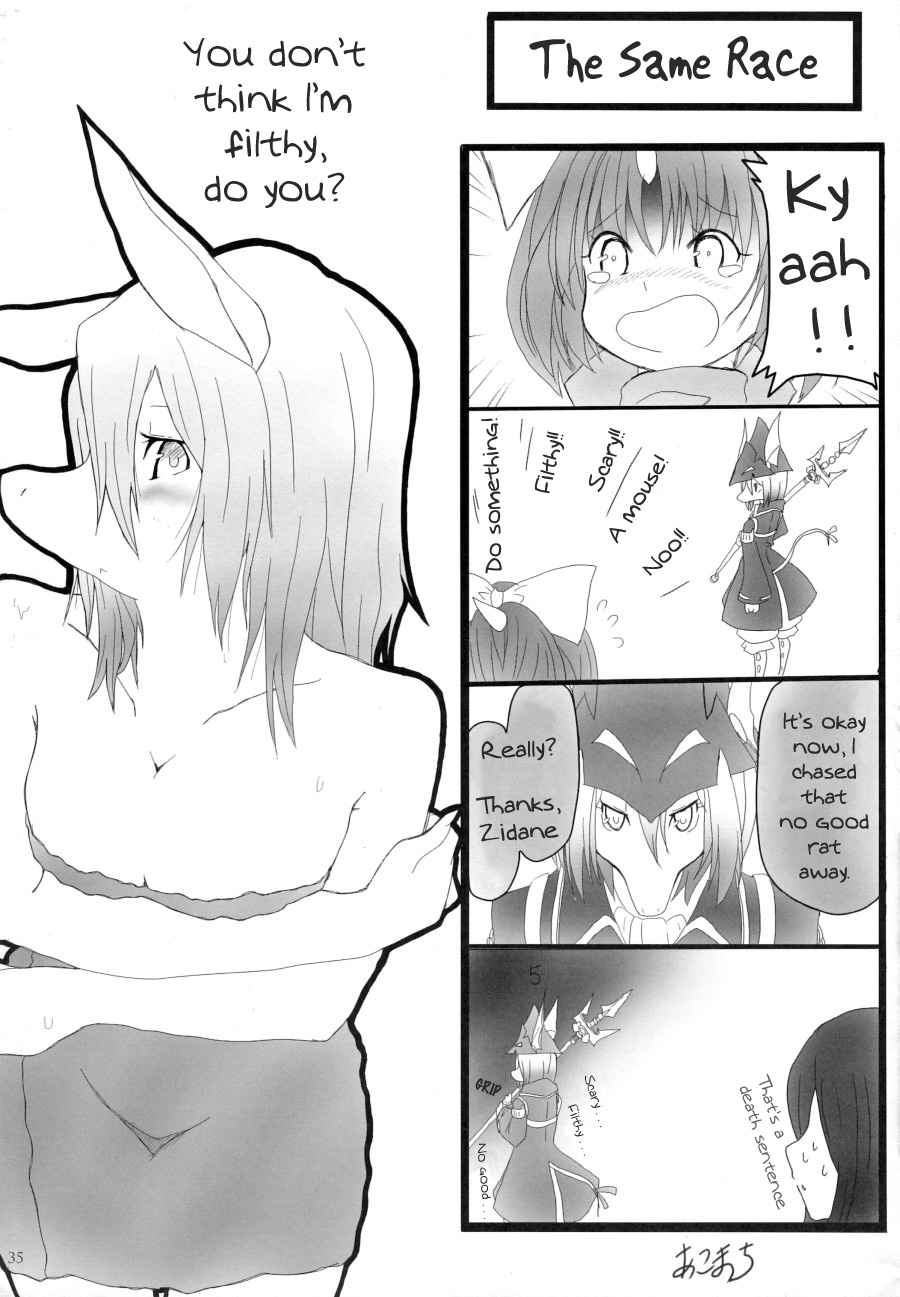 (C77) [EIXIN'S DRAWER (Murasuke, EIXIN, Sindoll)] Minna no Freija Crescent | Everyone's Freya Crescent (Final Fantasy IX) [English] {TraumaFox} - Page 34