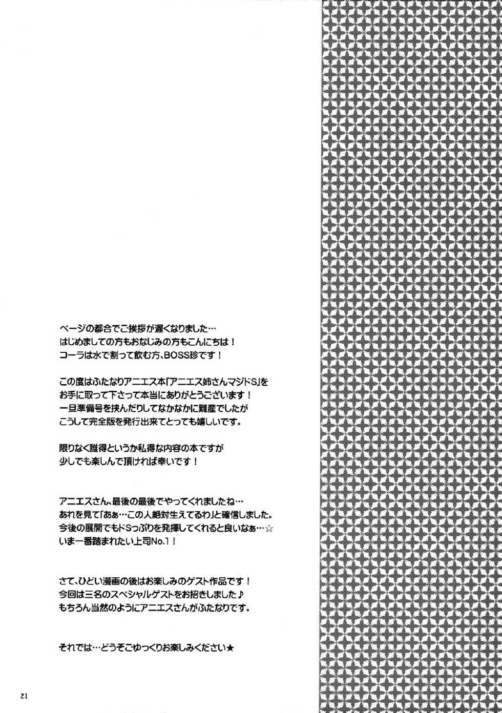 [Esecool (Boss Chin)] Agnes Nee-san Maji Do-S (TIGER & BUNNY) - Page 20