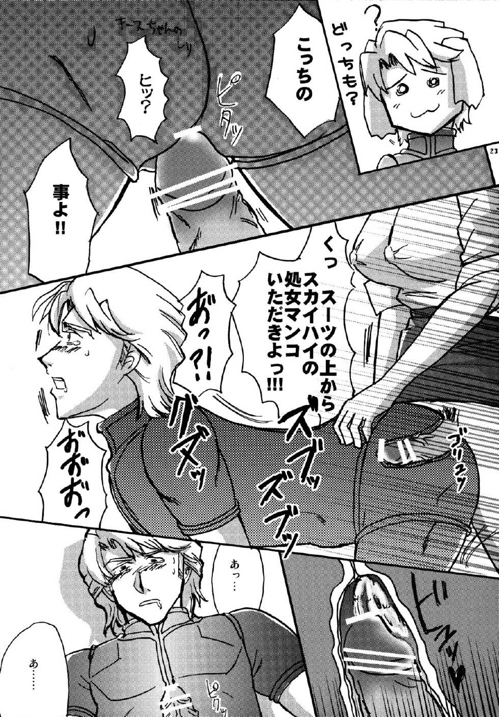 [Esecool (Boss Chin)] Agnes Nee-san Maji Do-S (TIGER & BUNNY) - Page 22