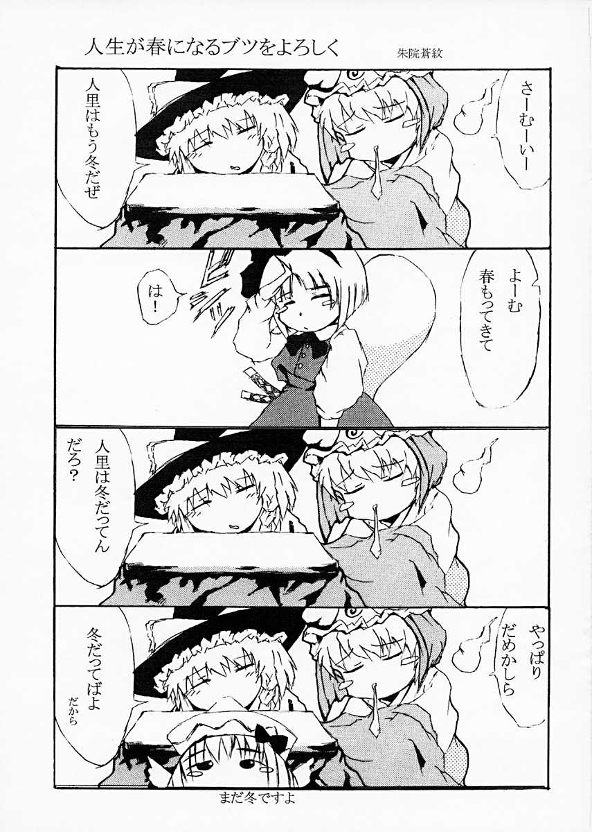 (C67) [ABSOLUTE EXTEND (lim-R)] Watashitachi wa Kirei? (Touhou Project) - Page 7