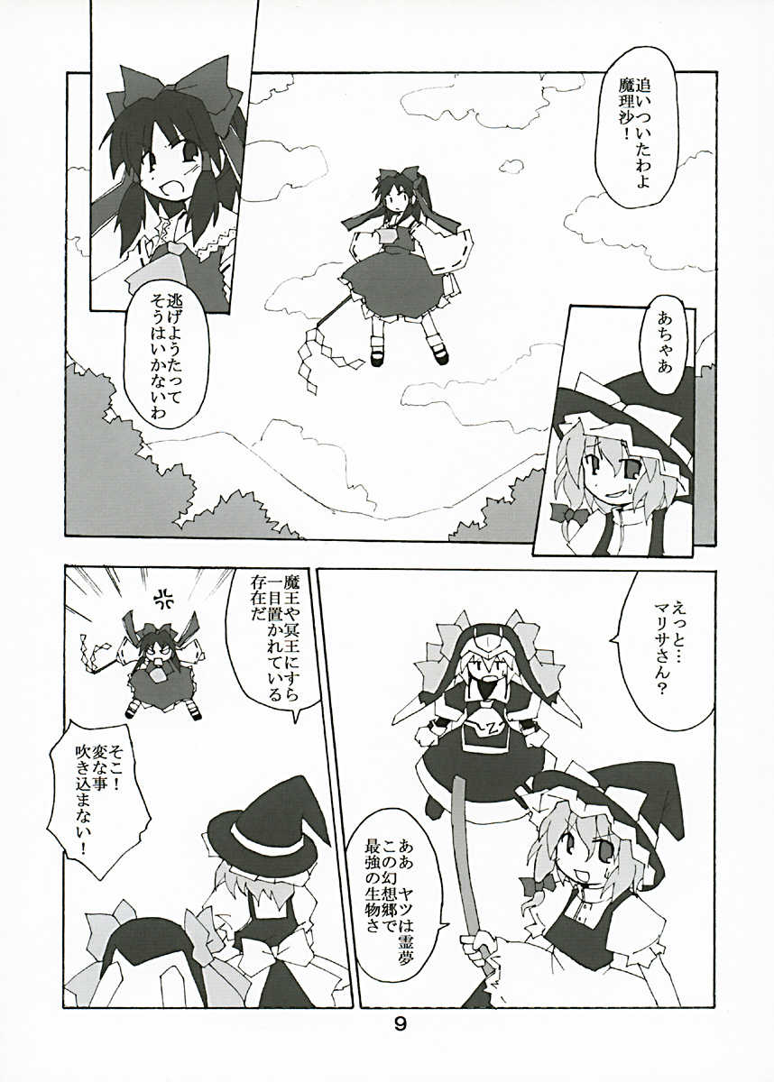 (C67) [Alte Notiz (Kugelschreiber)] Gensou no Sato no Ex-ICE (Touhou Project) - Page 8