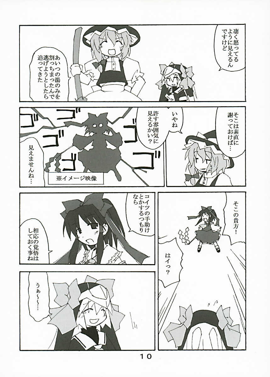(C67) [Alte Notiz (Kugelschreiber)] Gensou no Sato no Ex-ICE (Touhou Project) - Page 9
