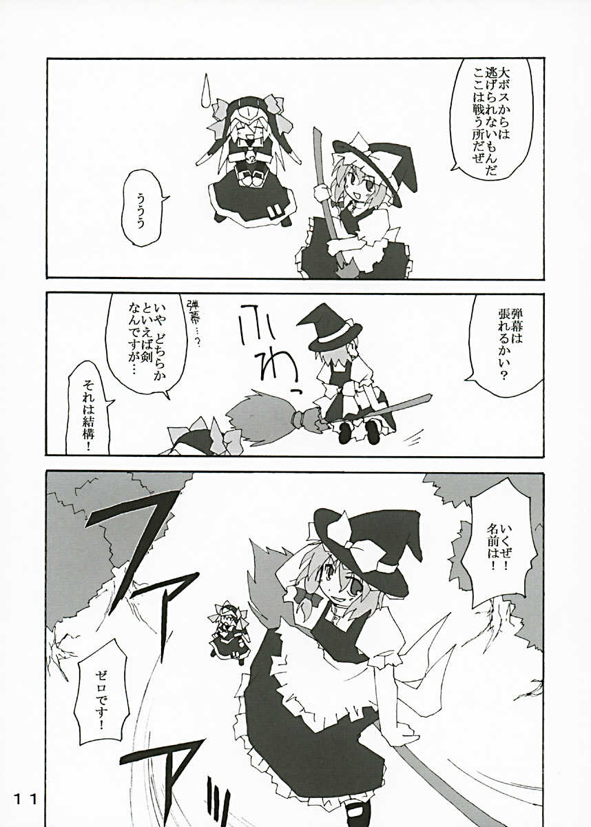 (C67) [Alte Notiz (Kugelschreiber)] Gensou no Sato no Ex-ICE (Touhou Project) - Page 10