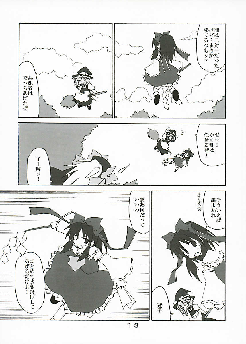 (C67) [Alte Notiz (Kugelschreiber)] Gensou no Sato no Ex-ICE (Touhou Project) - Page 12