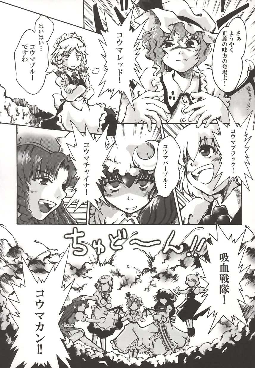 (C67) [Marionette Soukou Ryouhei (Satomura Kyo)] Ayashi no Saihate (Touhou Project) - Page 13