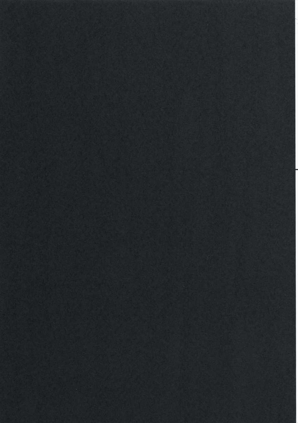 (C74) [VETO (ZOL)] Bonnou Chousashitsu (Real Drive) - Page 12