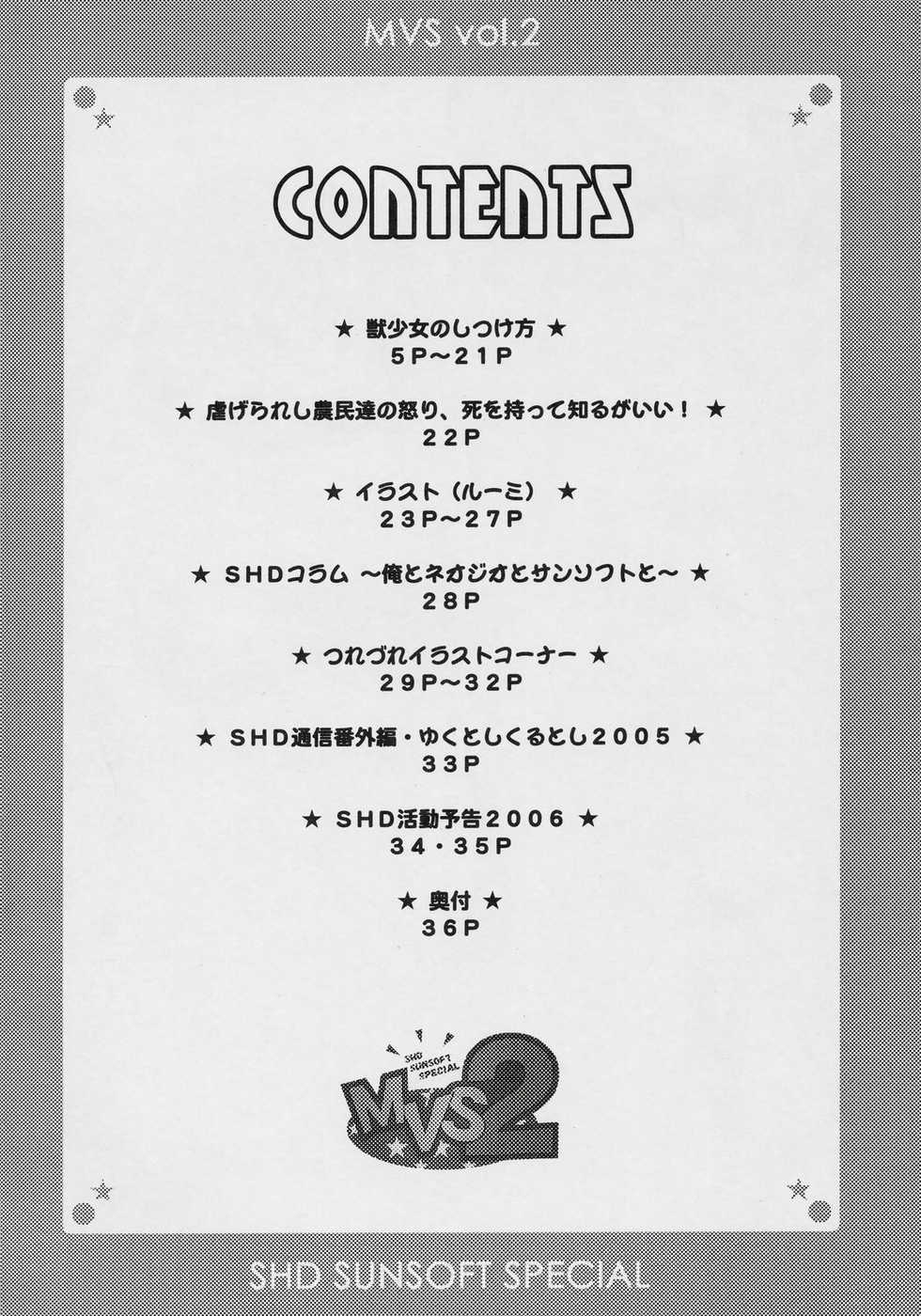 (C69) [SHD (Buchou Chinke, Hiromi)] MVS vol. 2 (Galaxy Fight, Waku Waku 7) - Page 3
