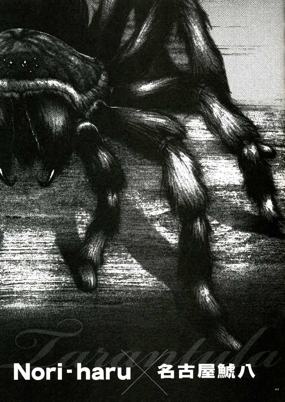 [P-Collection, PIGGSTAR (Nori-Haru, Nagoya Shachihachi, Kotobuki Kazuki)] Tarantula (Code Geass) [English] - Page 2