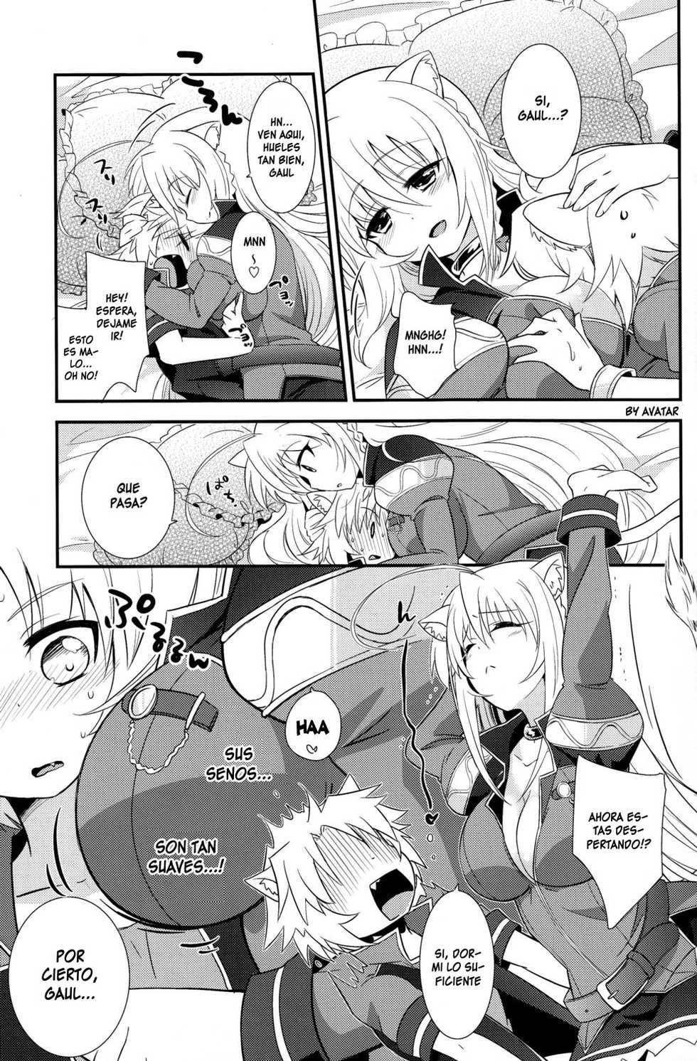 [Fuwawa (Oki no Matsushiro)] Aneue no Iu Toori (Dog Days) [Spanish] {Avatarkun} - Page 9