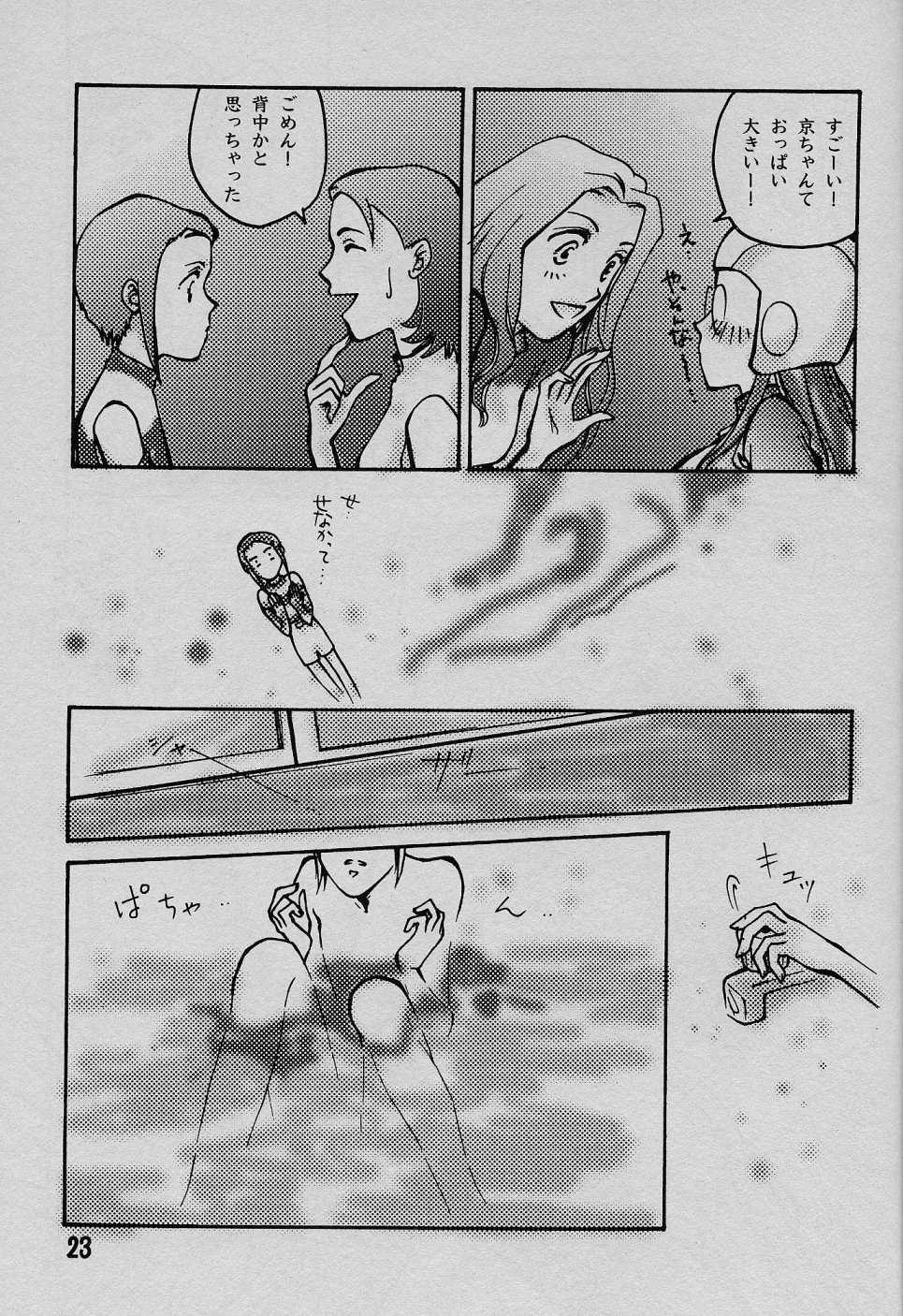 (C58) [Natsumoto Shoubou (Natsumoto Masato)] Ponchi Giga (Digimon) - Page 22