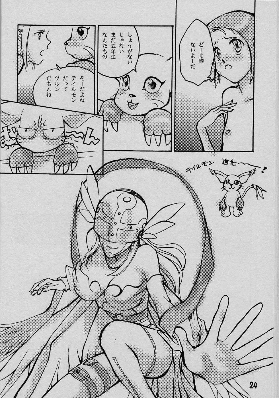 (C58) [Natsumoto Shoubou (Natsumoto Masato)] Ponchi Giga (Digimon) - Page 23