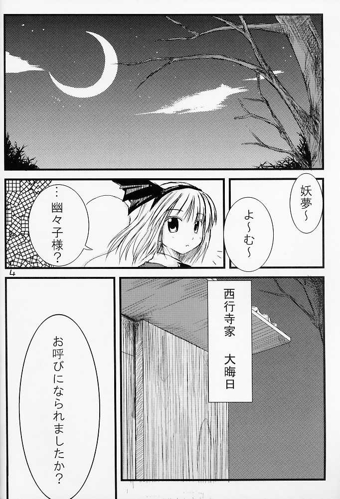 (C69) [Neko no Paraiso (Neko no Te)] Tentyoutikyu (Touhou Project) - Page 3