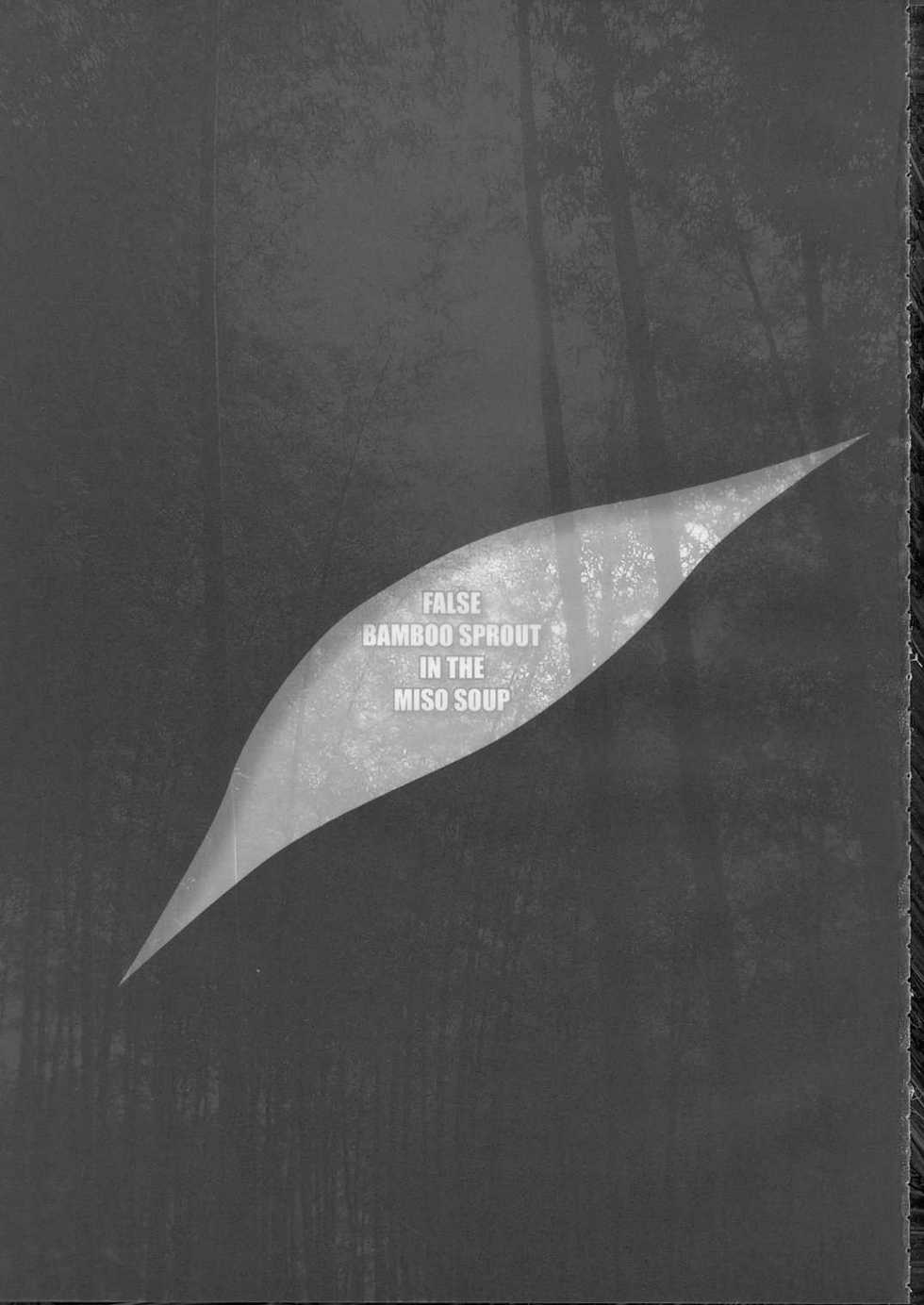 (C68) [Helmet ga Naosemasen (O-ide Chosuke)] False Bamboo Sprout in the Miso Soup (Touhou Project) - Page 15