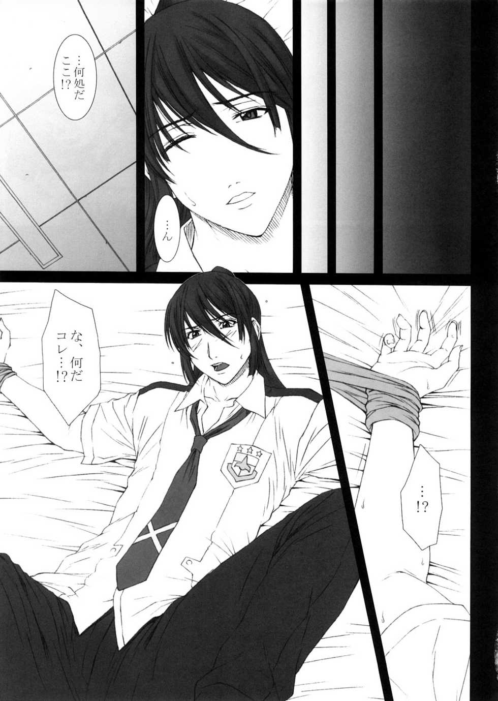 (C74) [HIGHLAND STUDIO (Ueno Naoya, Usamisuruga)] GIRL'S CAPRICCIO 13 (Macross Frontier) - Page 4