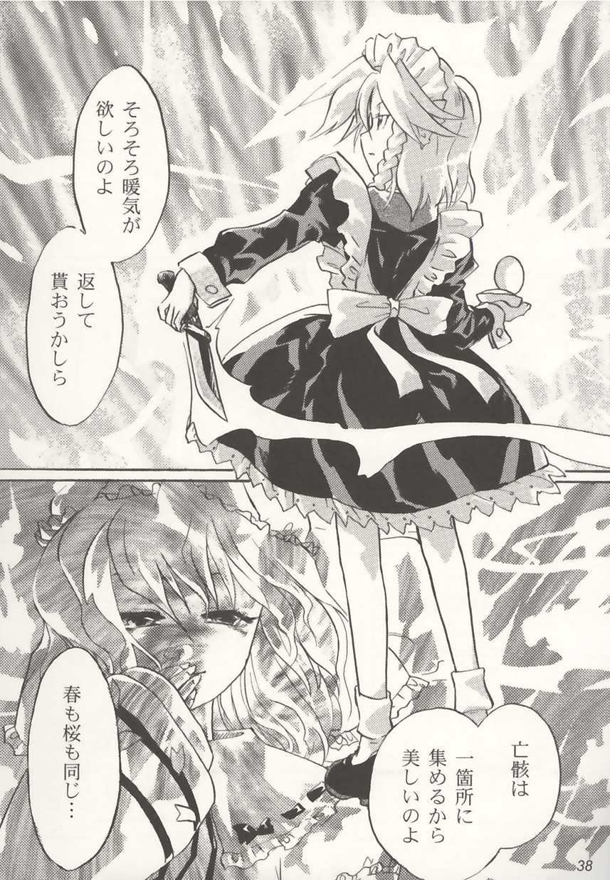 (C64) [Colorful Cube (kiriu, Hyoui)] Touhou Gentou (Touhou Project) - Page 38