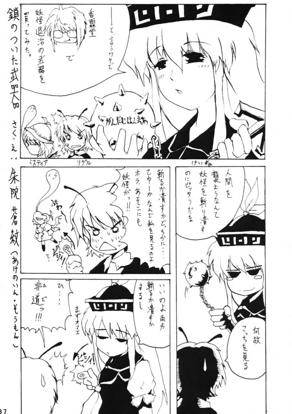 [Coolier] Hakurei Festival ( Touhou Project ) - Page 36
