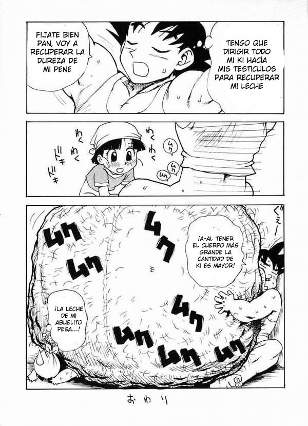 (C55) [Karumaya (Karma Tatsurou)] Panpi Dragon (Dragon Ball GT) [Spanish] [LKNOFansub] - Page 17