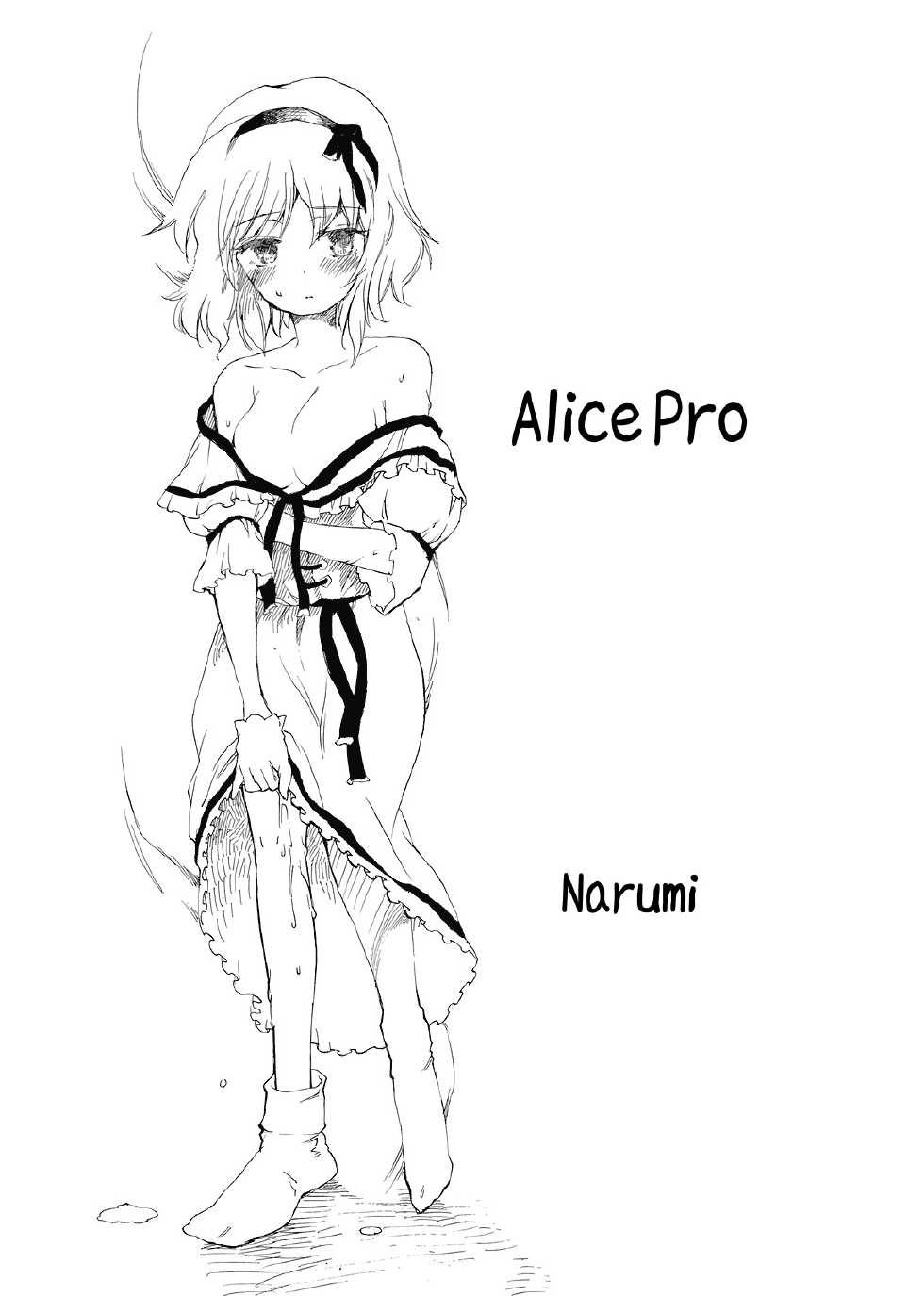 (SC39) [Uminari (Narumi)] Ali Pro Sono 1 | Alice Pro The First (Touhou Project) [English] =LWB= - Page 3