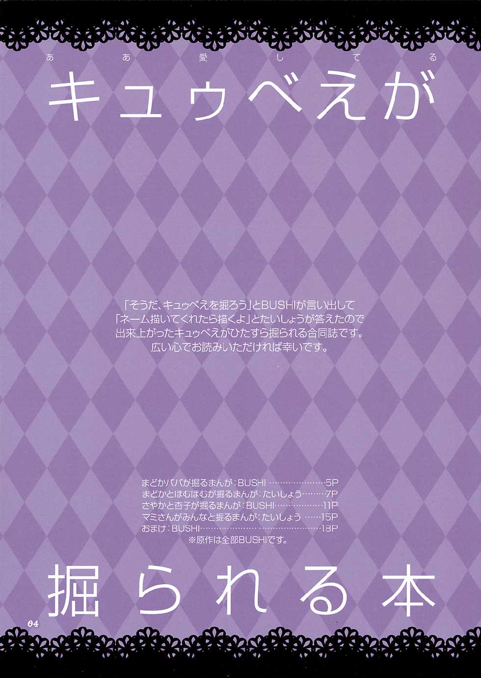 (C80) [Aa Aishiteru (Taishow Tanaka, BUSHI)] Kyubey ga Horareru Hon (Puella Magi Madoka Magica) - Page 3