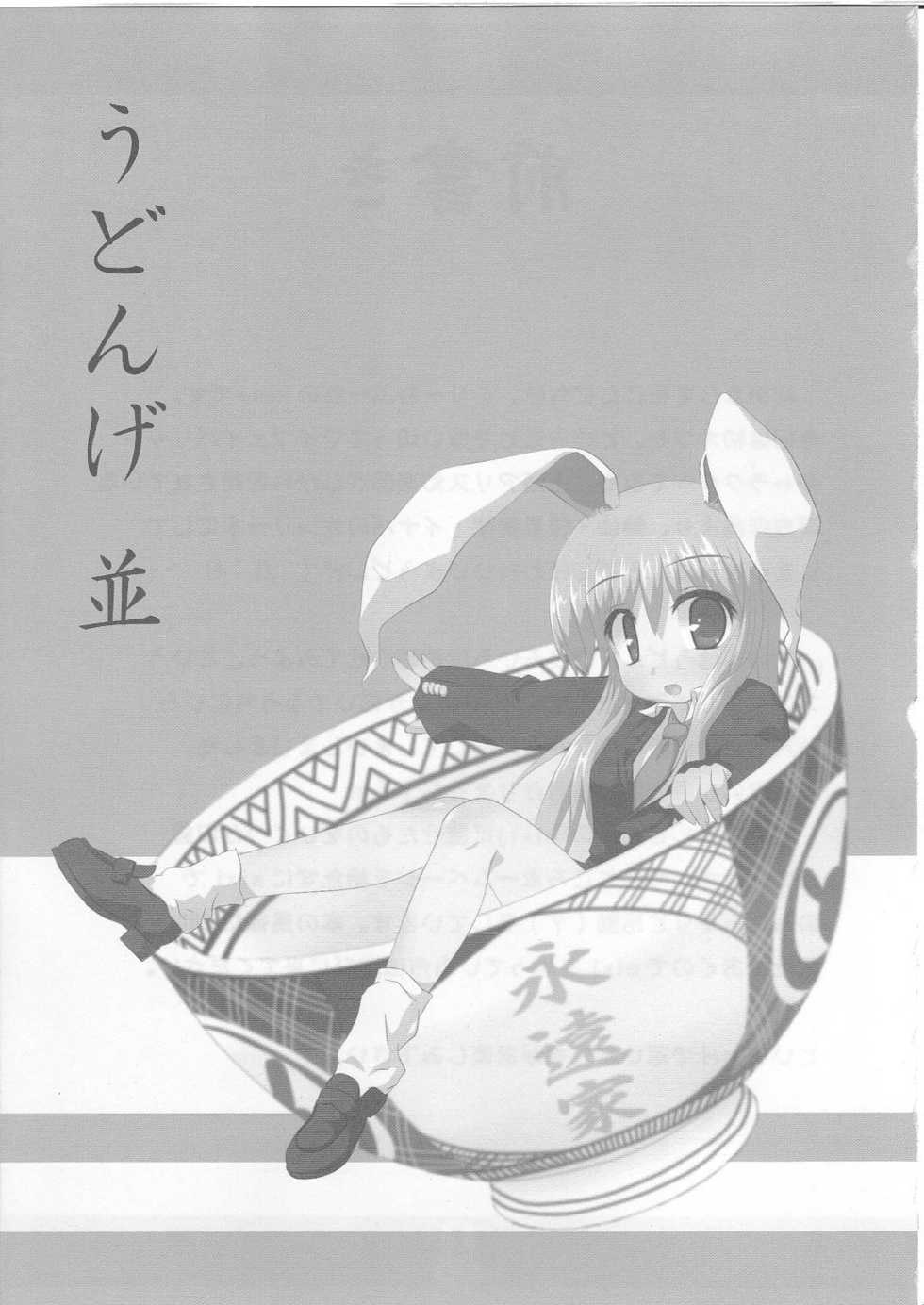 [Cream Bourre] Udonge Nami ( Touhou Project ) - Page 2