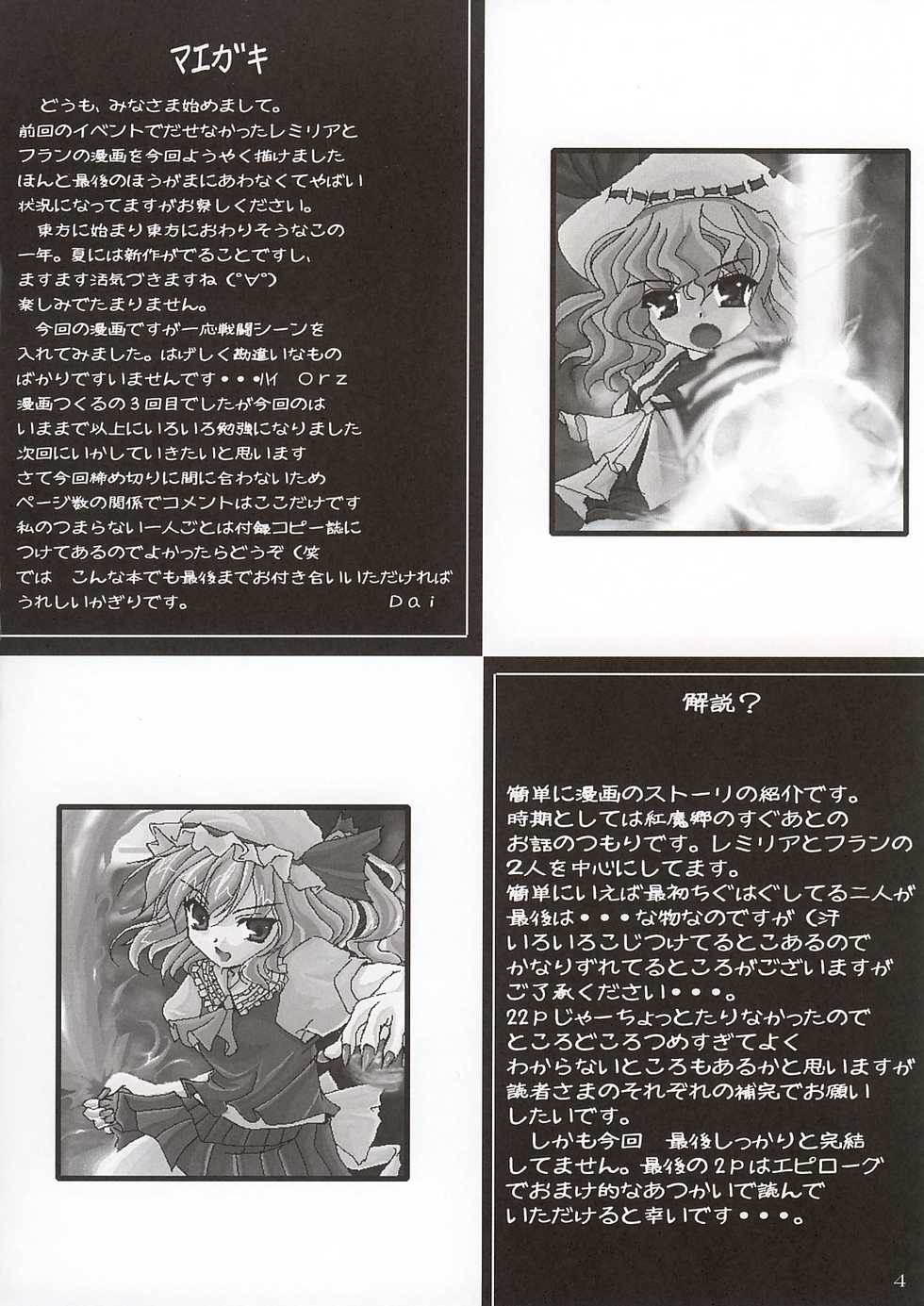 [D-Type] Bright Line ( Touhou Project ) - Page 3