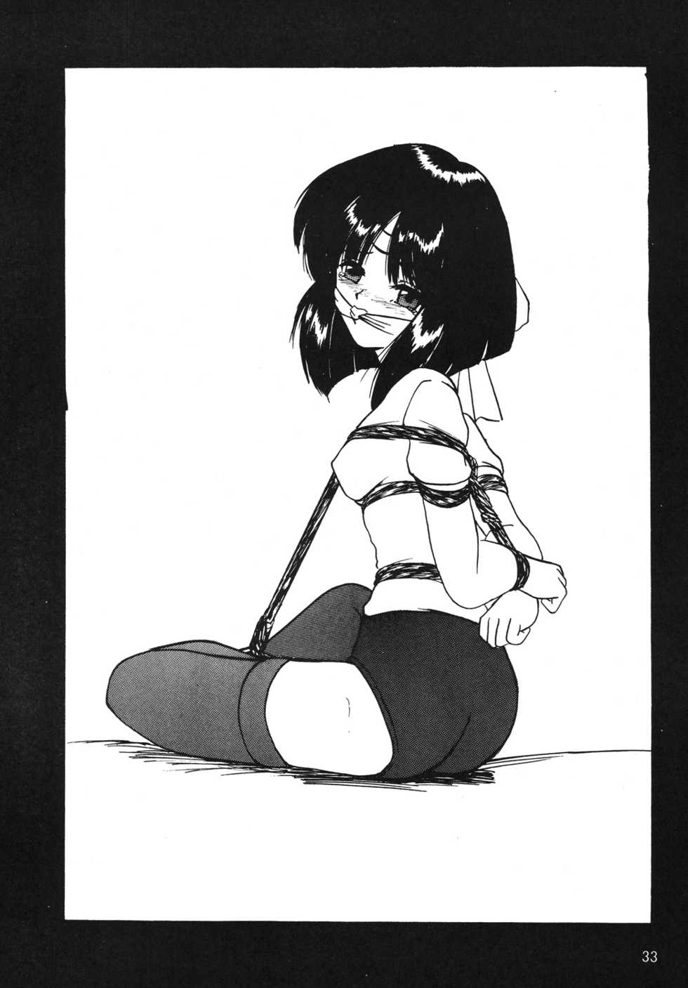 (SC38) [Thirty Saver Street 2D Shooting (Various)] Silent Saturn SS Vol. 10 (Bishoujo Senshi Sailor Moon) [English] [EHCOVE] - Page 32