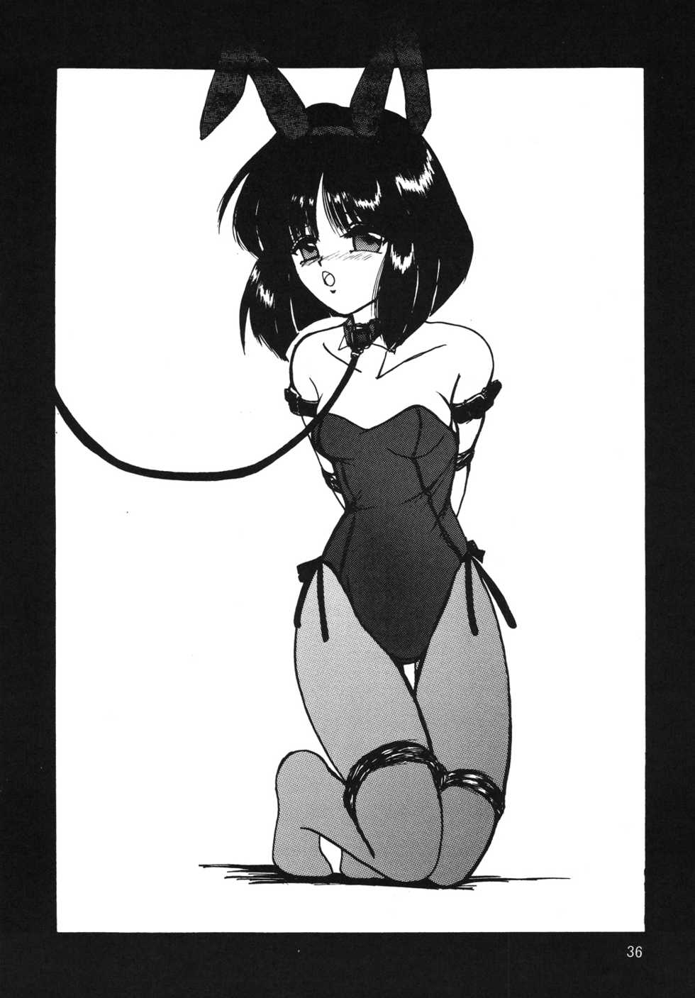 (SC38) [Thirty Saver Street 2D Shooting (Various)] Silent Saturn SS Vol. 10 (Bishoujo Senshi Sailor Moon) [English] [EHCOVE] - Page 35