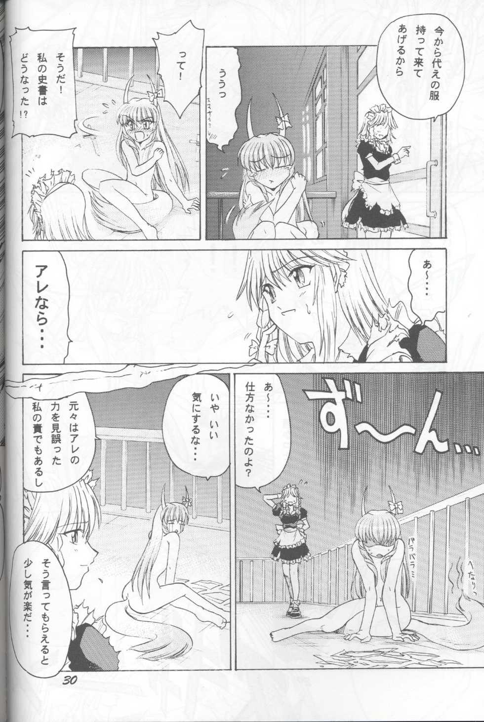 (C67) [Sougetsutei (Kisaragi Ryou)] Hanjuu Hanrei Soudouki (Touhou Project) - Page 30