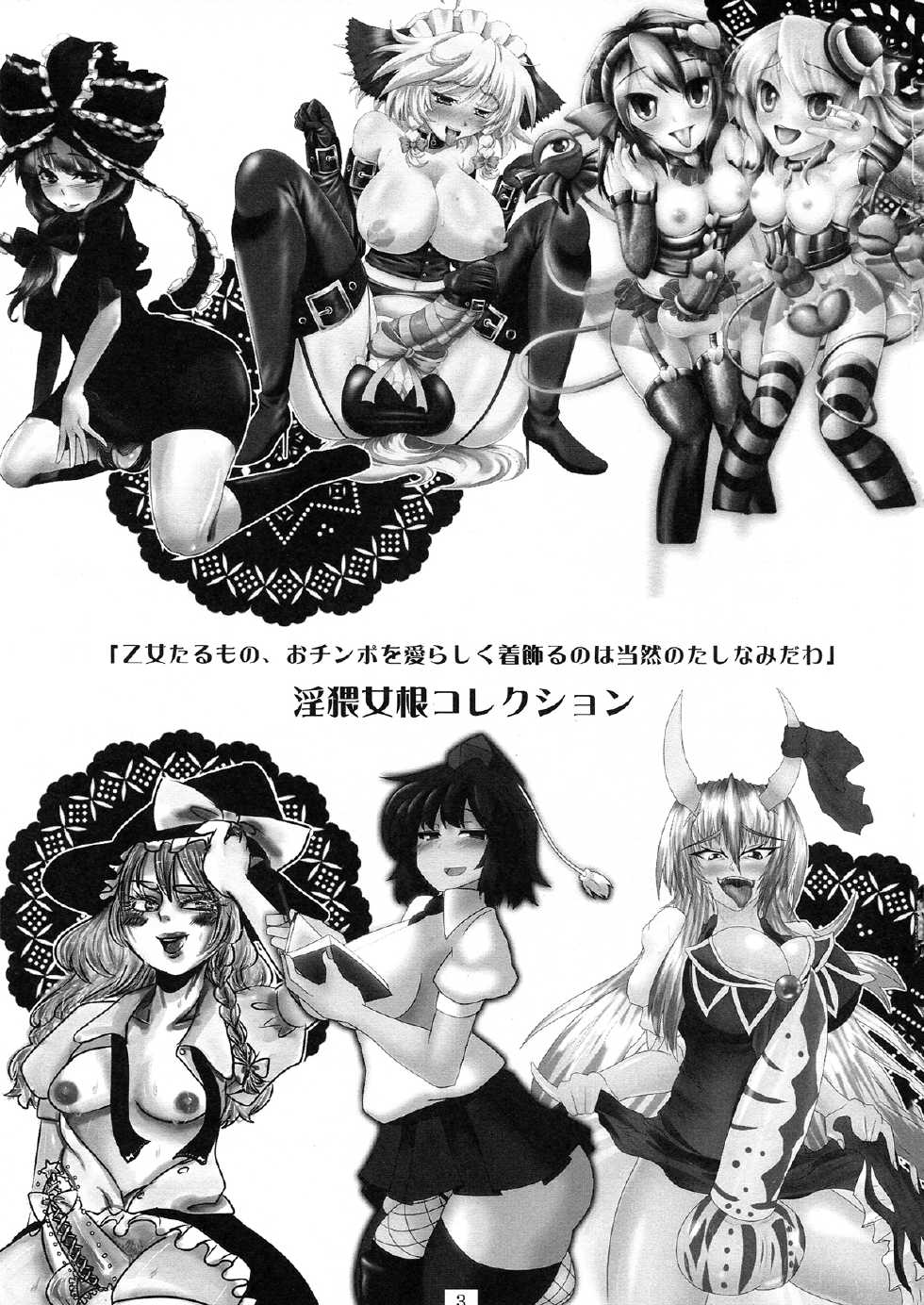 (Futaket08) [AmBiVaLenZ (Various)] Touhou Futanari Penis Fashion Show - Inwai Onna ne Korekushon - Page 3