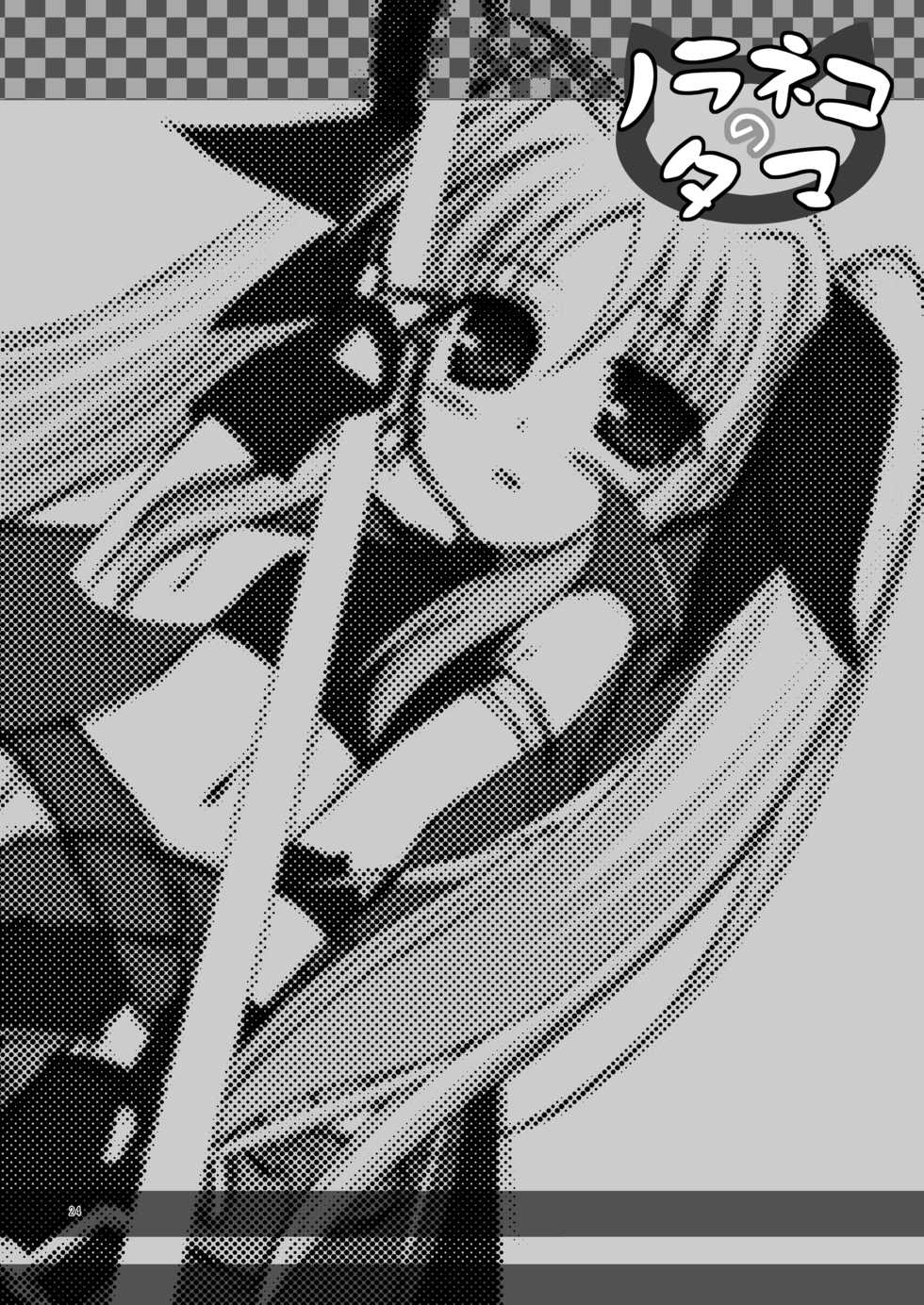 [Noraneko no Tama (Hitsuji Hako)] - Maji Nano!! (Mahou Shoujo Lyrical Nanoha) [Digital] - Page 23