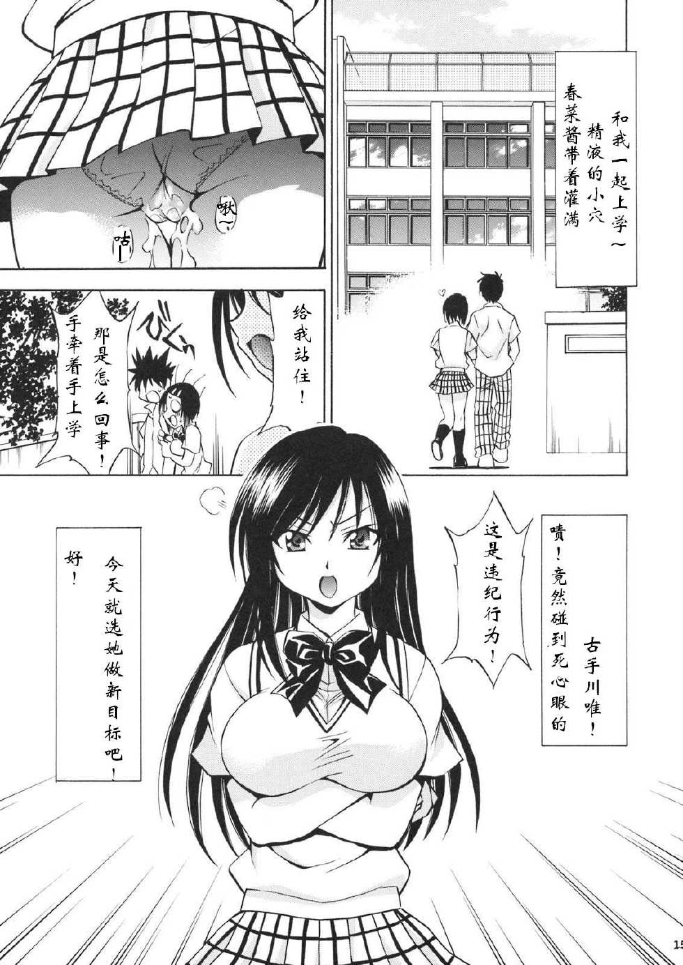 [Studio Wallaby (Nagisa Minami)] Troublekko ~Haruna & Yui~ (To LOVE-Ru) [Chinese] [肥艺个人汉化] - Page 14