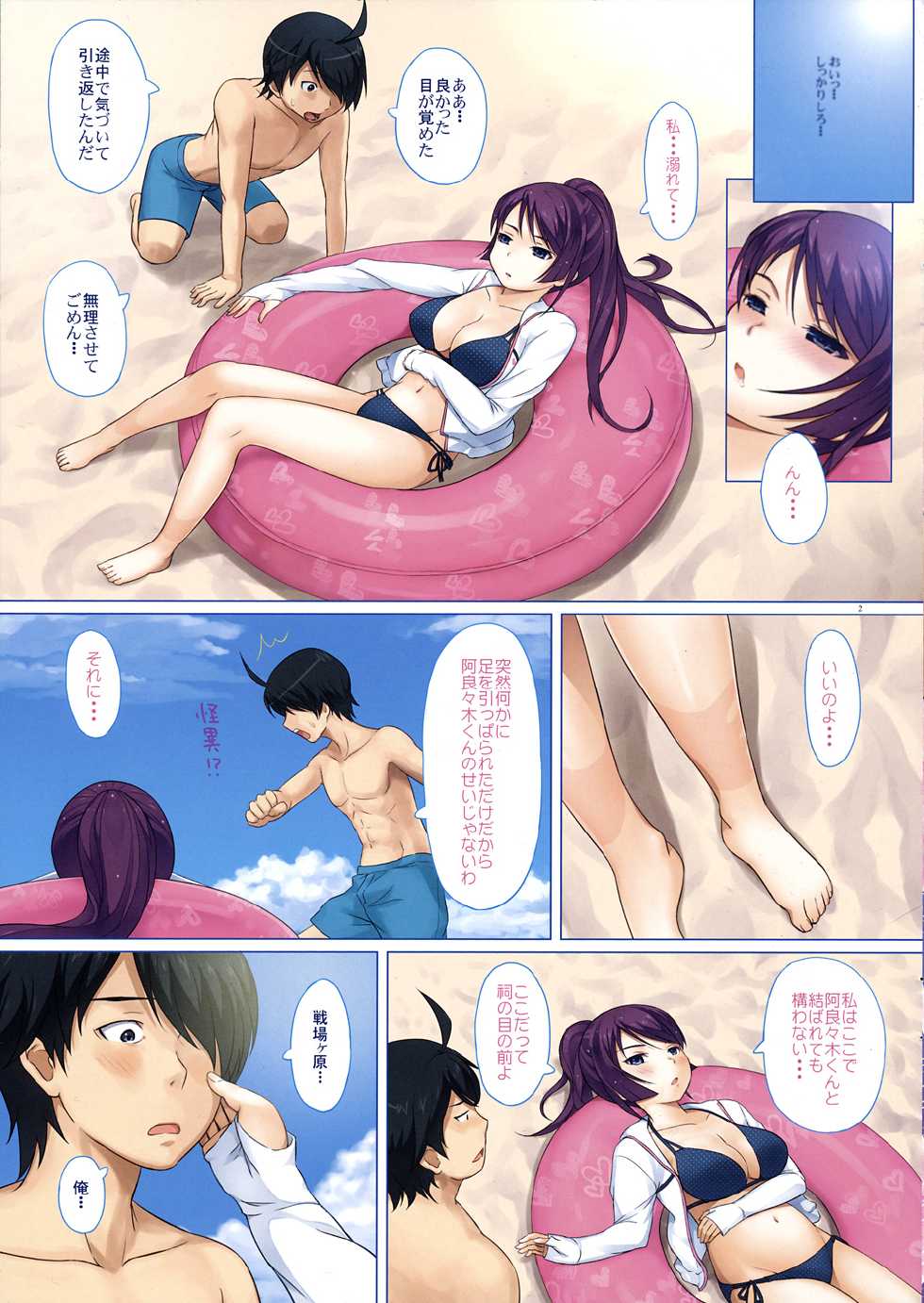 (C82) [Aoiten (Aoten)] Hitagi ni Mitore 2 (Bakemonogatari) - Page 3