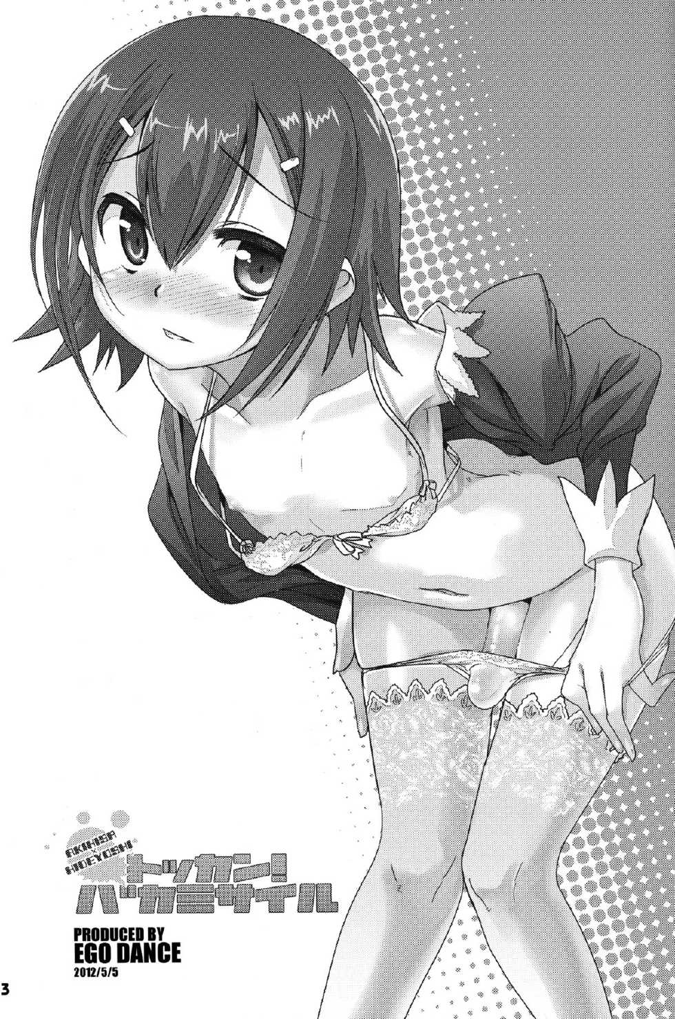 (Shotaket 16) [EGO DANCE (Nanamatsu Kenji)] Tokkan! Baka Missile (Baka to Test to Shoukanjuu) - Page 3