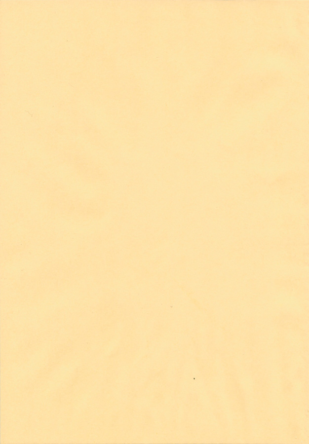 [RiceCandy (Hatomugi Munmun, Sakakibara Kaorunaoko)] Sonomasoma Ohuro (Touhou Project) - Page 2