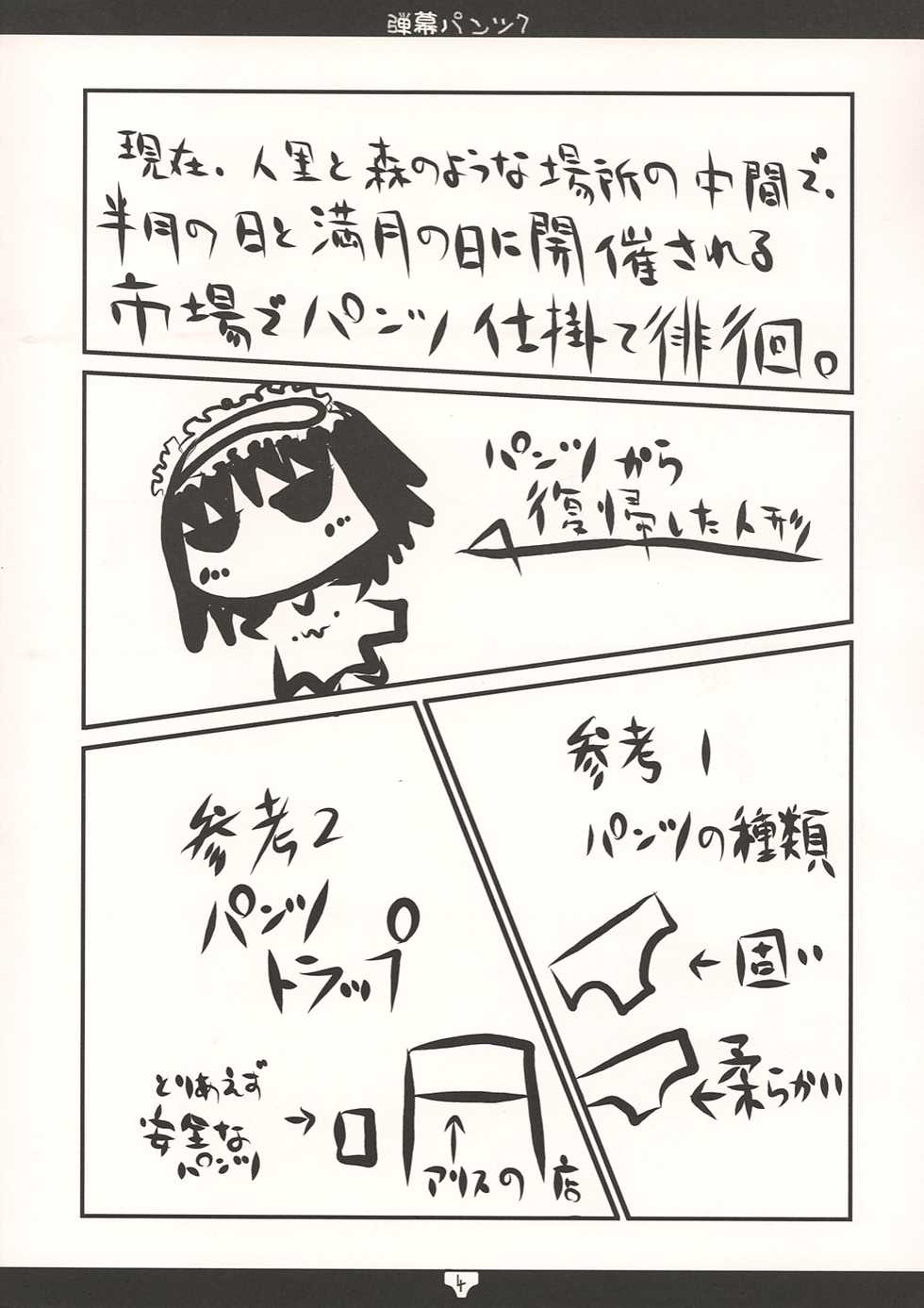 [Libertte] Danmaku-Pants 7 ( Touhou Project ) - Page 4